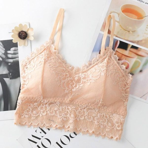 woman's lace beauty back bra camisole women's wrapped chest tube bottoming french underwear, Red;black
woman's lace beauty back bra camisole women's wrapped chest tube bottoming french underwear, Red;black