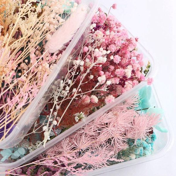 1 box real mix dried flowers for resin jewellery dry plants pressed flowers making craft diy accessories home festival decor
1 box real mix dried flowers for resin jewellery dry plants pressed flowers making craft diy accessories home festival decor