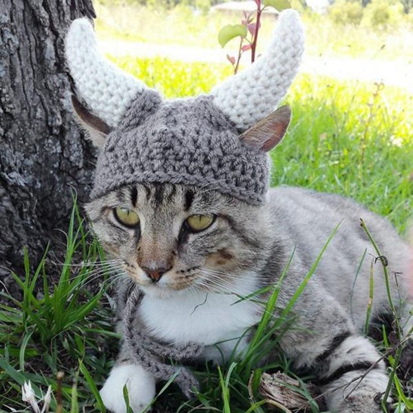 dog apparel pet knit cap cat halloween costume festival cosplay cute pirate cattle horns hat hairband accessories
dog apparel pet knit cap cat halloween costume festival cosplay cute pirate cattle horns hat hairband accessories