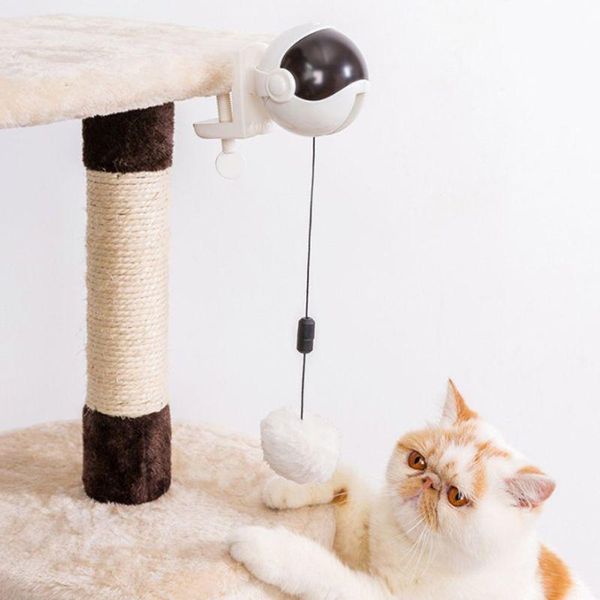 cat toys funny interactive toy pet electric self flutter rotating teaser lifting ball for cats kitten supplies c42
cat toys funny interactive toy pet electric self flutter rotating teaser lifting ball for cats kitten supplies c42