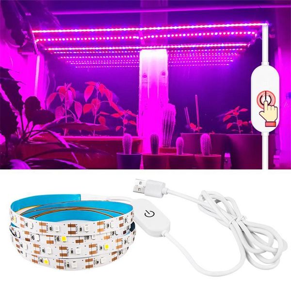 5v usb led grow light full spectrum touch led strip lights 2835 dimming phyto lamps for greenhouse hydroponic plant growing
5v usb led grow light full spectrum touch led strip lights 2835 dimming phyto lamps for greenhouse hydroponic plant growing