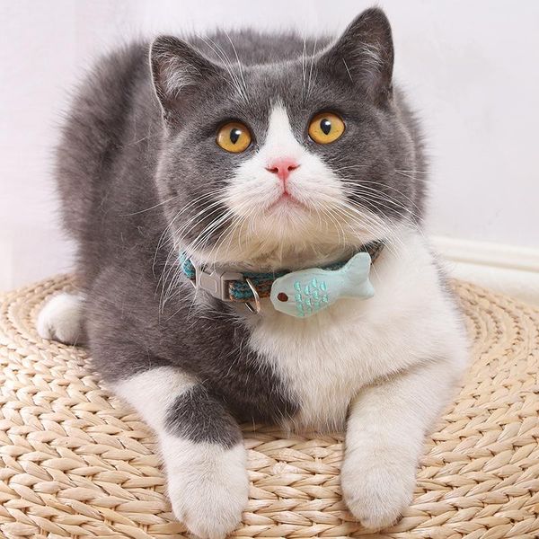 cat collars & leads solid fish collar scotland plaid adjustable dog neck strap cotton cute necklace kitty harness supplies for small medium
cat collars & leads solid fish collar scotland plaid adjustable dog neck strap cotton cute necklace kitty harness supplies for small medium