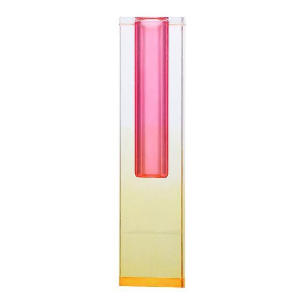 vases 1pc delicate acrylic vase ornament light luxury decor chic floral art
vases 1pc delicate acrylic vase ornament light luxury decor chic floral art