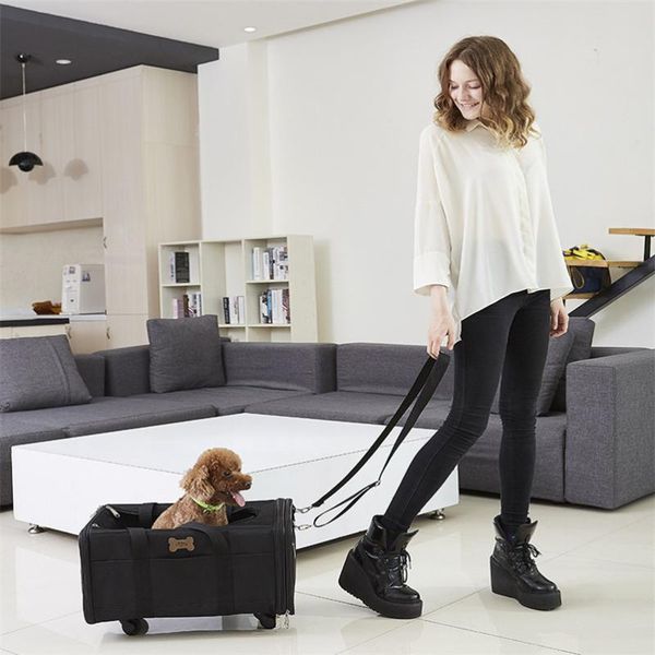 dog car seat covers dannykarl cat carrying breathable pet carrier fashion shoulder 2021 backpack puppy outdoor travel portable bag for 15kg
dog car seat covers dannykarl cat carrying breathable pet carrier fashion shoulder 2021 backpack puppy outdoor travel portable bag for 15kg
