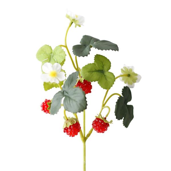 decorative flowers & wreaths flower paddle strawberry artificial fruit mulberry po props 10pcs for home party 10 bunches wedding
decorative flowers & wreaths flower paddle strawberry artificial fruit mulberry po props 10pcs for home party 10 bunches wedding