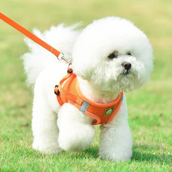 dog collars & leashes pet chest strap vest leash reflective breathable wear simple collar
dog collars & leashes pet chest strap vest leash reflective breathable wear simple collar