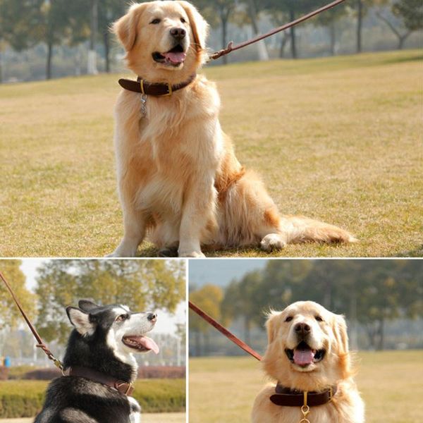 dog collars & leashes 1.2m/1.6m braided real leather leash pet walking training leads for german shepherd golden retriever medium large big
dog collars & leashes 1.2m/1.6m braided real leather leash pet walking training leads for german shepherd golden retriever medium large big