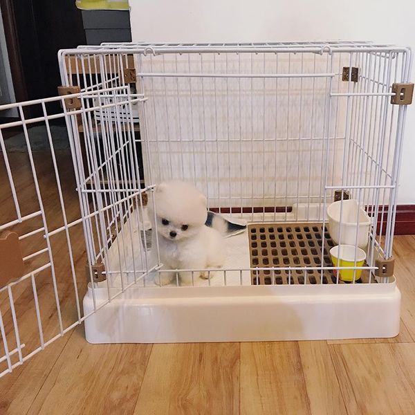 kennels & pens cat litter closed sleeping bag deep sleep winter warm house net red large thickening kennel
kennels & pens cat litter closed sleeping bag deep sleep winter warm house net red large thickening kennel