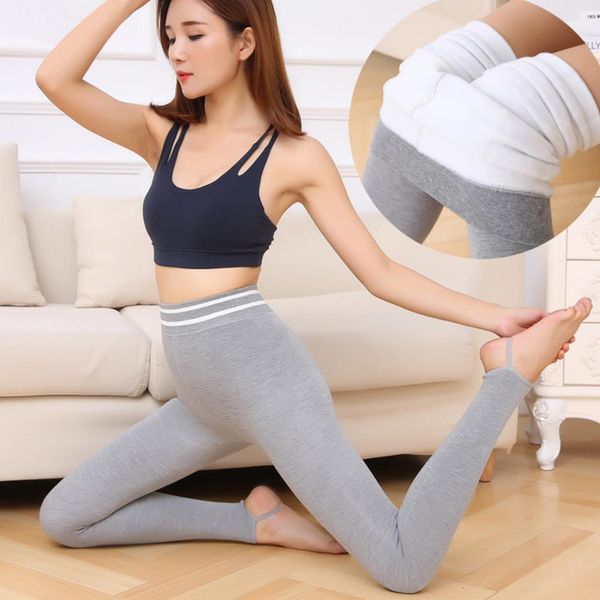 autumn winter leggings women outer wear stirrup stretch leggings pants women leggings skinny pants trousers leggins mujer, Gray
autumn winter leggings women outer wear stirrup stretch leggings pants women leggings skinny pants trousers leggins mujer, Gray