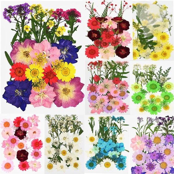decorative flowers & wreaths pressed dried flower preserved daisy petal for diy crafts making card phone shell scrapbooking mini bloemen flo
decorative flowers & wreaths pressed dried flower preserved daisy petal for diy crafts making card phone shell scrapbooking mini bloemen flo