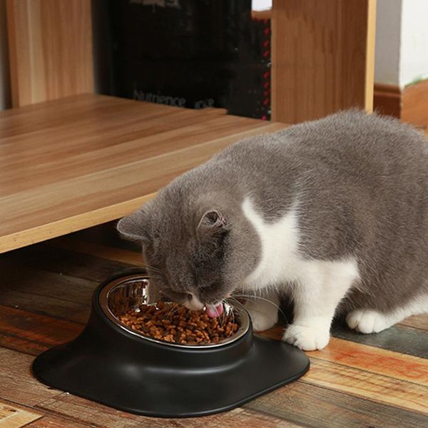 cat bowls & feeders dog bowl neck guard stainless steel feeder non-slip puppy food container kitten feeding water pet products stuff
cat bowls & feeders dog bowl neck guard stainless steel feeder non-slip puppy food container kitten feeding water pet products stuff