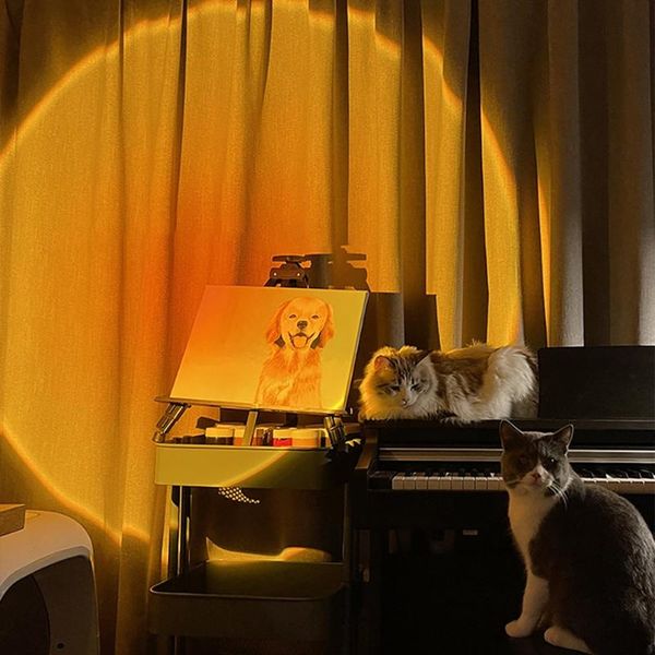 sunset projector lamp rainbow atmosphere led night light for home bedroom coffe shop background wall decoration usb table lamp
sunset projector lamp rainbow atmosphere led night light for home bedroom coffe shop background wall decoration usb table lamp