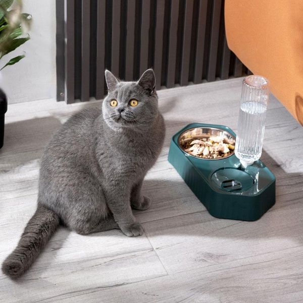 cat bowls & feeders food bowl automatic water fountain feeder for dog dual purpose pet drinkers with partition accessories
cat bowls & feeders food bowl automatic water fountain feeder for dog dual purpose pet drinkers with partition accessories