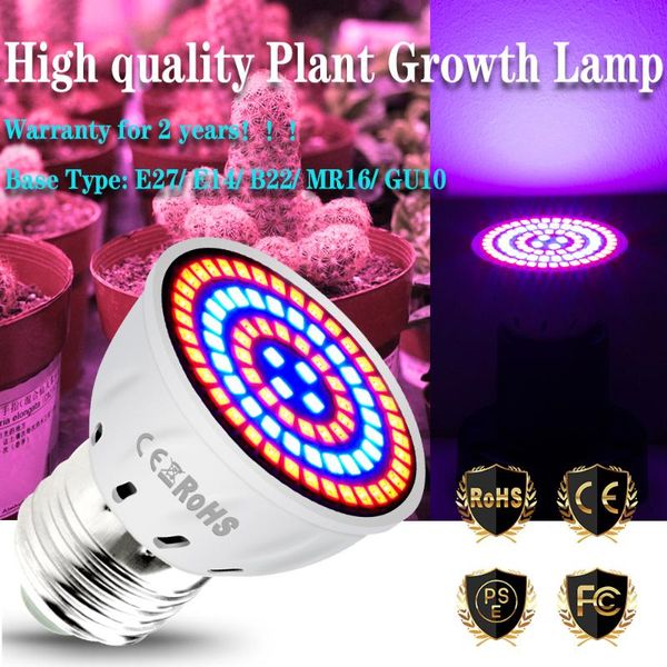 phyto led spotlights lamp bulbs indoor b22 grow light for flowers plant seeds growing e27 mr16 phytolamp full spectrum e14 gu10
phyto led spotlights lamp bulbs indoor b22 grow light for flowers plant seeds growing e27 mr16 phytolamp full spectrum e14 gu10
