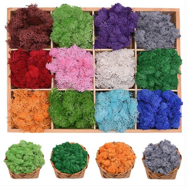 artificial green moss grass for home garden decoration wall diy craft flower material micro landscape accessories
artificial green moss grass for home garden decoration wall diy craft flower material micro landscape accessories