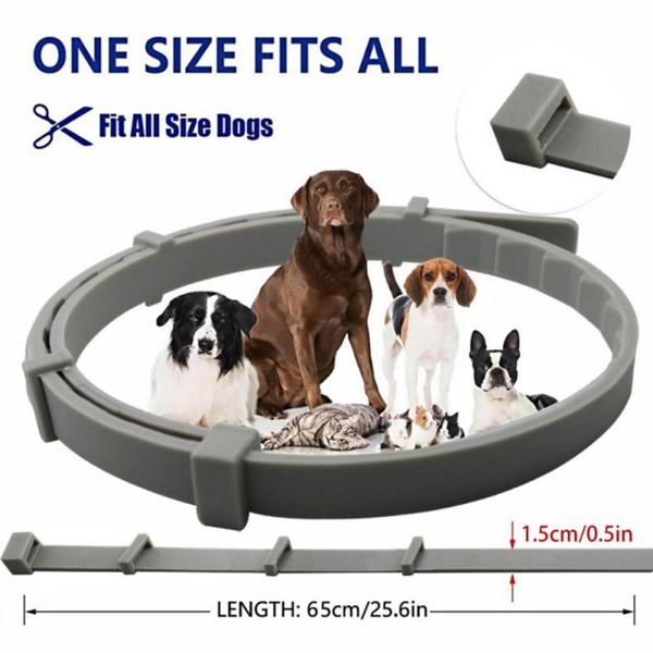 dog collars & leashes pet collar anti flea ticks mosquitoes outdoor protective adjustable 90 days long-term protection for small large
dog collars & leashes pet collar anti flea ticks mosquitoes outdoor protective adjustable 90 days long-term protection for small large