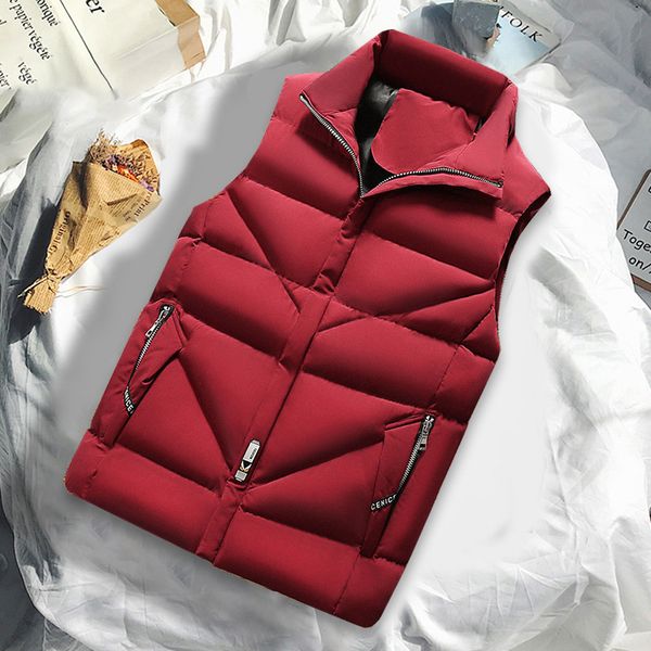 men's autumn and winter korean fashion new thickened warm down cotton vest jacket in 2021, Black;white
men's autumn and winter korean fashion new thickened warm down cotton vest jacket in 2021, Black;white