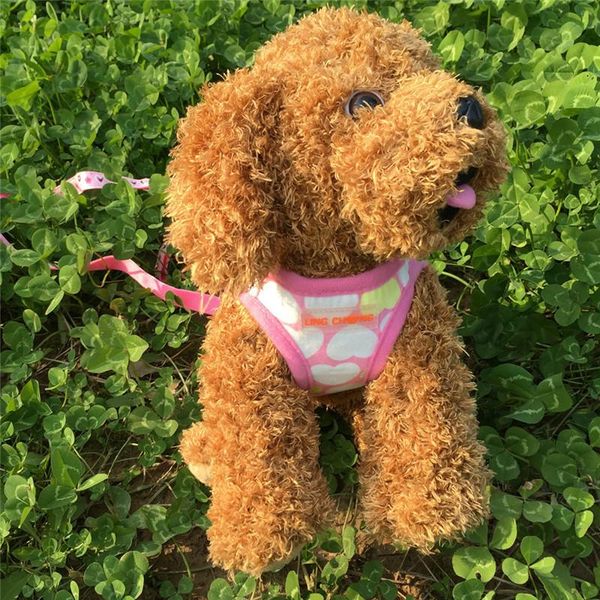 dog collars & leashes harness collar adjustable pet breathable traction love printing chest strap with dogs puppy car seatbelt @c
dog collars & leashes harness collar adjustable pet breathable traction love printing chest strap with dogs puppy car seatbelt @c