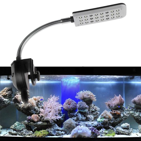 aquariums lighting mini led aquarium light blue white color fish tank clip lamp aquatic plant animals decor
aquariums lighting mini led aquarium light blue white color fish tank clip lamp aquatic plant animals decor