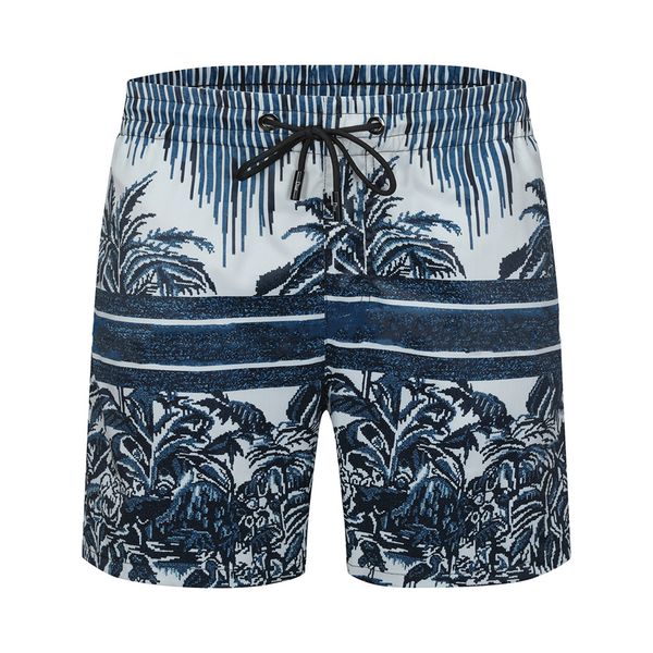 summer fashion mens designers shorts quick drying swimwear printing board beach pants men swim short asian size m-3xl, White;black
summer fashion mens designers shorts quick drying swimwear printing board beach pants men swim short asian size m-3xl, White;black