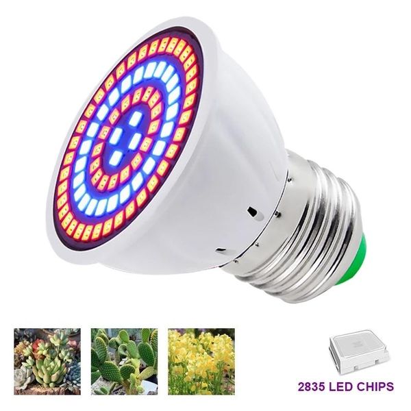 led grow bulb e27 mr16 gu10 110v 220v full spectrum led plant hydroponic growth light phyto lamp indoor lighting flower seedling
led grow bulb e27 mr16 gu10 110v 220v full spectrum led plant hydroponic growth light phyto lamp indoor lighting flower seedling