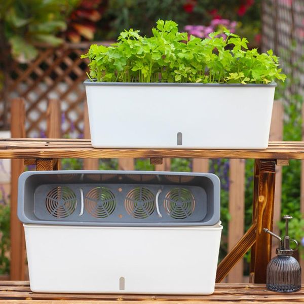 planters & pots flower pot vegetable planting indoor green plant narrow long rectangular plastic box jarrones home decor bs50hp
planters & pots flower pot vegetable planting indoor green plant narrow long rectangular plastic box jarrones home decor bs50hp