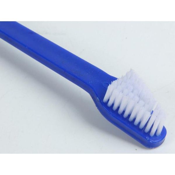 pet supplies cat puppy dog dental grooming toothbrush dog health supplies color mixed dog su jllwyv insyard
pet supplies cat puppy dog dental grooming toothbrush dog health supplies color mixed dog su jllwyv insyard