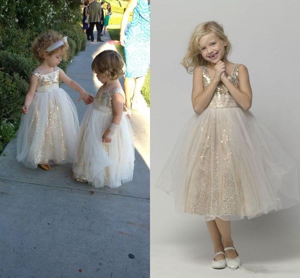 lace a line tulle floor length baby girl birthday party christmas princess dresses children girl party dresses flower girl dresses communion, White;blue
lace a line tulle floor length baby girl birthday party christmas princess dresses children girl party dresses flower girl dresses communion, White;blue
