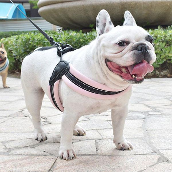 dog collars & leashes jormel harness easy on and off adjustable medium large dogs reflective no pull training vest for pet walking
dog collars & leashes jormel harness easy on and off adjustable medium large dogs reflective no pull training vest for pet walking