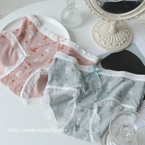 new aerobic teenage girl underwear cute cat heart fairy lace cotton crotch japanese sweet briefs stretch, Black;pink
new aerobic teenage girl underwear cute cat heart fairy lace cotton crotch japanese sweet briefs stretch, Black;pink