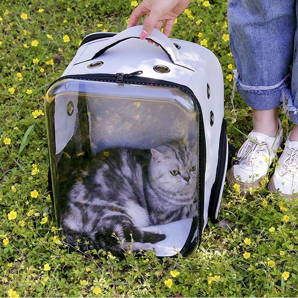 cat carriers,crates & houses transparent collapsible pet cage for cats dogs crate handbag tote transport accessories puppy kitty portable su
cat carriers,crates & houses transparent collapsible pet cage for cats dogs crate handbag tote transport accessories puppy kitty portable su