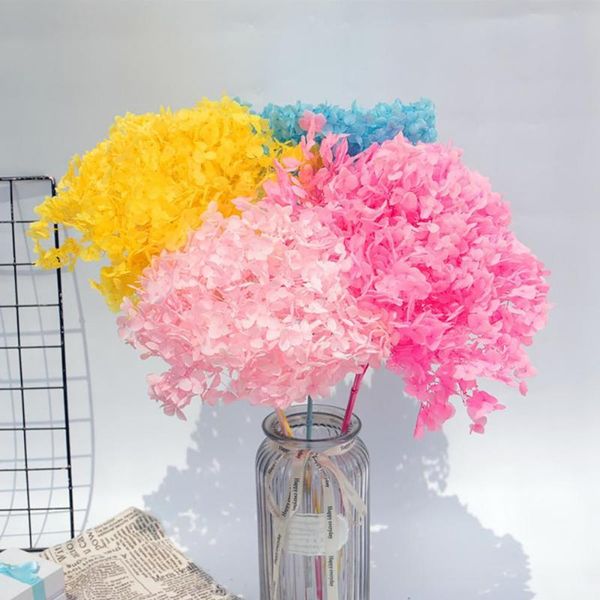 decorative flowers & wreaths dried flower vintage style real-looking exquisite workmanship fade-less hydrangea branch preserved for garden
decorative flowers & wreaths dried flower vintage style real-looking exquisite workmanship fade-less hydrangea branch preserved for garden