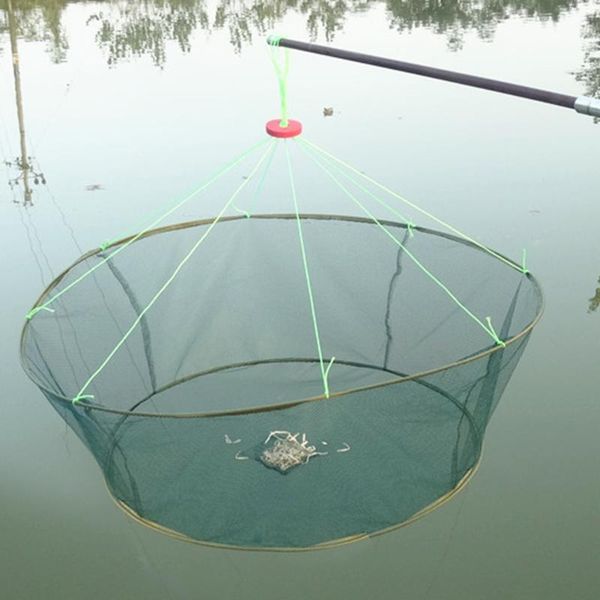 foldable fishing landing net fish catcher network mesh crab shrimp trap cage outdoor portable easy fishing carrying
foldable fishing landing net fish catcher network mesh crab shrimp trap cage outdoor portable easy fishing carrying