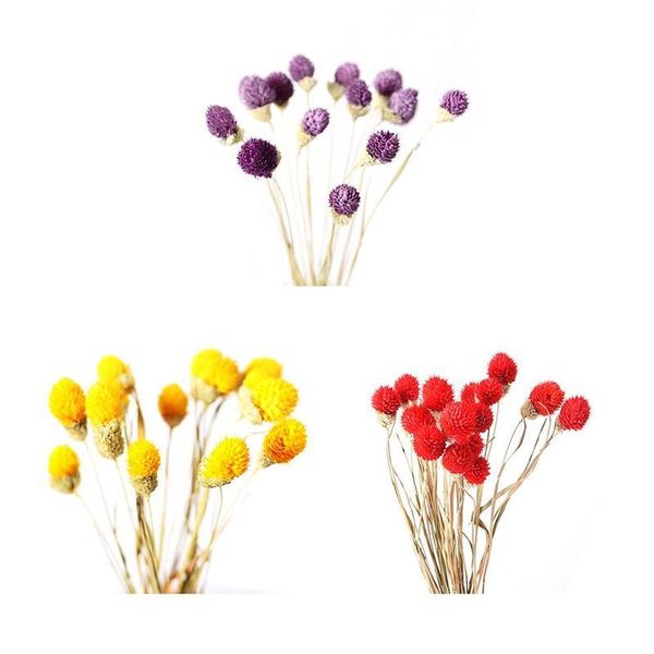 1 bunch of 18 dried cones bouquet wedding flower ceremony decoration modern home decoration
1 bunch of 18 dried cones bouquet wedding flower ceremony decoration modern home decoration