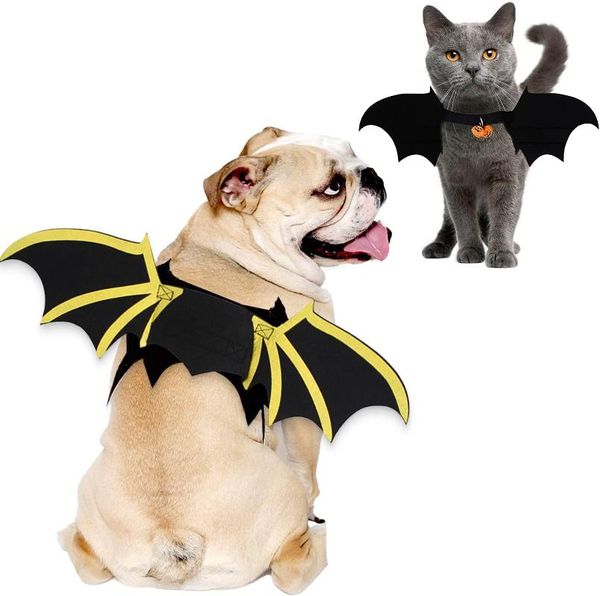 cat costumes halloween costume funny pet bat wings,cosplay for small dog dress up accessories with pumpkin bell holiday
cat costumes halloween costume funny pet bat wings,cosplay for small dog dress up accessories with pumpkin bell holiday