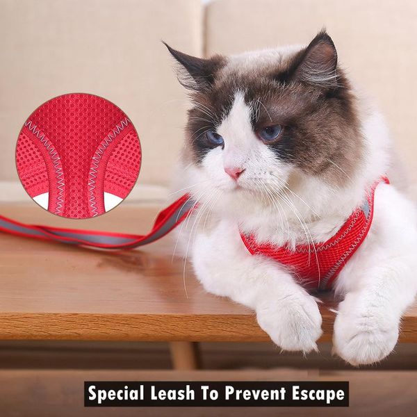 dog collars & leashes midg pet harness cat puppy reflective chest straps easy control for small 3 color red blue black
dog collars & leashes midg pet harness cat puppy reflective chest straps easy control for small 3 color red blue black