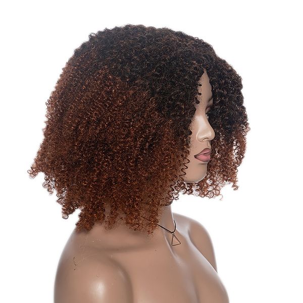 elegant brown omre kinky curly black synthetic wigs for ladys women's fluffy afric natural hair wig
elegant brown omre kinky curly black synthetic wigs for ladys women's fluffy afric natural hair wig