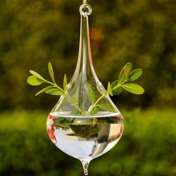 vases clear water drop shape glass hanging vase bottle terrarium hydroponic pot decor
vases clear water drop shape glass hanging vase bottle terrarium hydroponic pot decor