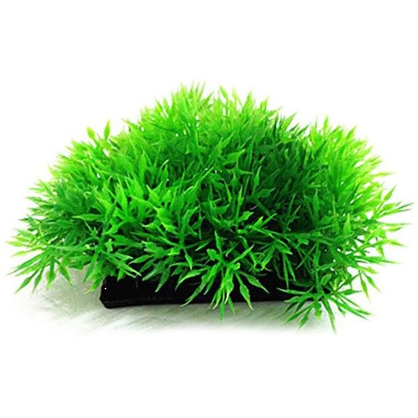 decorations artificial water aquatic green grass plant lawn aquarium fish tank landscape
decorations artificial water aquatic green grass plant lawn aquarium fish tank landscape