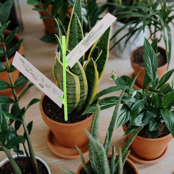 garden decorations 20pcs/set branch-type powerful sticky insect board trapping holder rack plant pot planter vegetable label tags
garden decorations 20pcs/set branch-type powerful sticky insect board trapping holder rack plant pot planter vegetable label tags