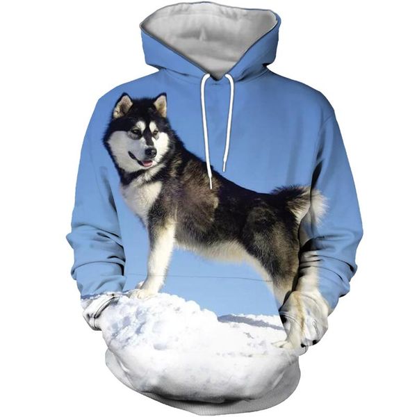 men's hoodies & sweatshirts liasoso2021 latest fashion highland snow mountain alaskan malamute hoodie store promotion price, Black
men's hoodies & sweatshirts liasoso2021 latest fashion highland snow mountain alaskan malamute hoodie store promotion price, Black