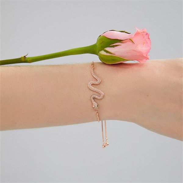 charm bracelets crystal snake for women jewelry rose gold chain accessories on wrist trendy lady bracelet with fulll stone, Golden;silver
charm bracelets crystal snake for women jewelry rose gold chain accessories on wrist trendy lady bracelet with fulll stone, Golden;silver