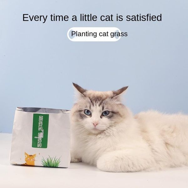 cat toys pet supplies lazy people soil-grass hair ball hydroponic interactive products
cat toys pet supplies lazy people soil-grass hair ball hydroponic interactive products