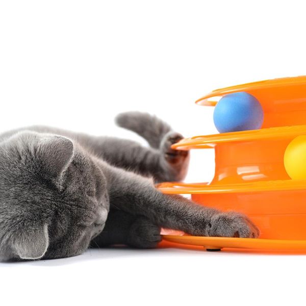 cat toys lionina funny three layers pet toy intelligence triple play disc balls (orange)
cat toys lionina funny three layers pet toy intelligence triple play disc balls (orange)