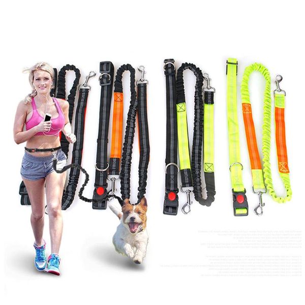 dog collars & leashes 1pcs handsrunning leash - durable bungee leash, reflective stitching absorbing adjustable waist belt
dog collars & leashes 1pcs handsrunning leash - durable bungee leash, reflective stitching absorbing adjustable waist belt