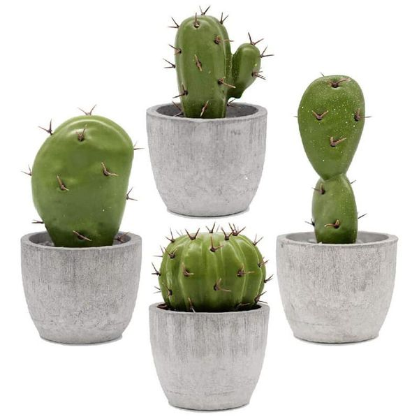 small faux cactus succulent plants in pots for home shelf office table desk house mini cute potted decorations set of 4
small faux cactus succulent plants in pots for home shelf office table desk house mini cute potted decorations set of 4