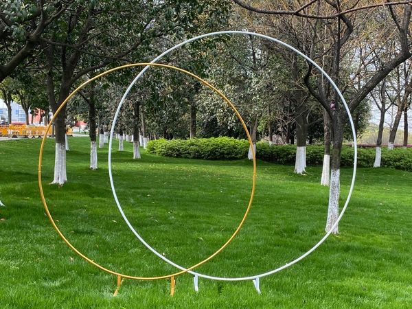 party decoration 2.5m big circle wedding birthday arch background wrought props single flower door rack outdoor lawn
party decoration 2.5m big circle wedding birthday arch background wrought props single flower door rack outdoor lawn