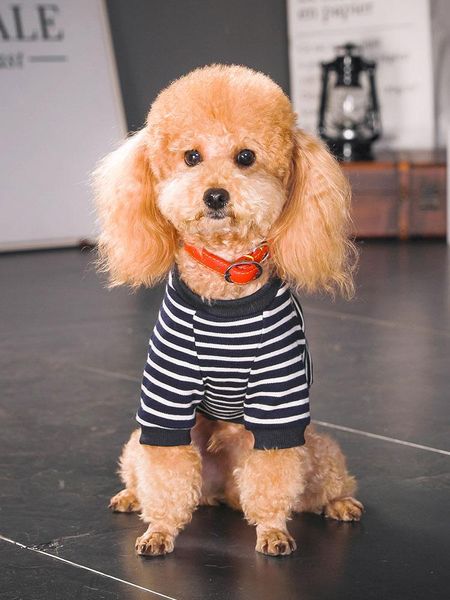 dog apparel small luxury large clothes cute korean pomeranian fashion costume products ropa para perros pet kk6gjk
dog apparel small luxury large clothes cute korean pomeranian fashion costume products ropa para perros pet kk6gjk