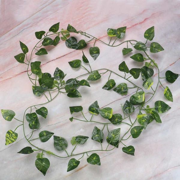 vine reptile decoration for reptile jungle rattan vine plastic rattan
vine reptile decoration for reptile jungle rattan vine plastic rattan