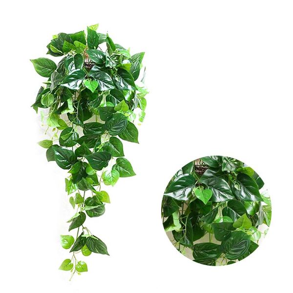 decorative flowers & wreaths artificial vine plants hanging ivy green leaves garland radish seaweed grape fake home garden wall party decora
decorative flowers & wreaths artificial vine plants hanging ivy green leaves garland radish seaweed grape fake home garden wall party decora